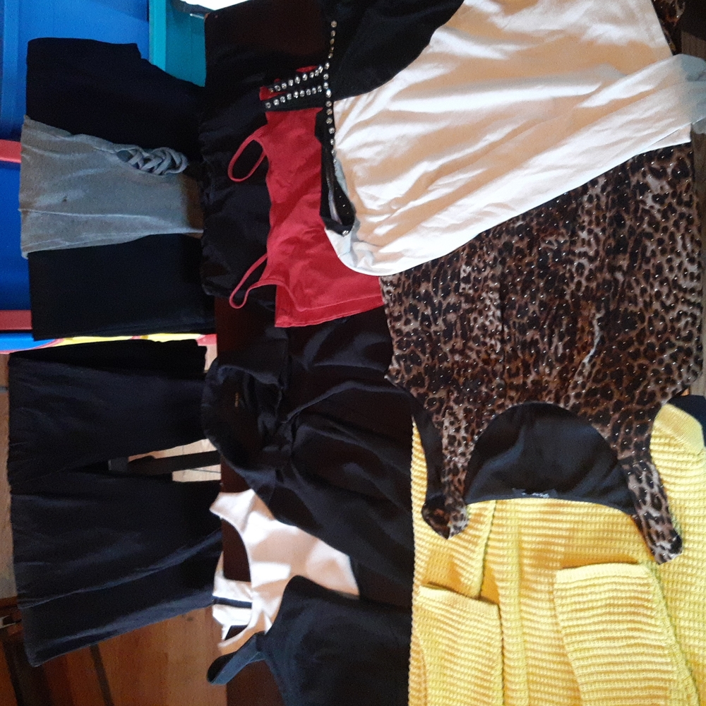 Lot of Women's size Medium clothing (16 items)